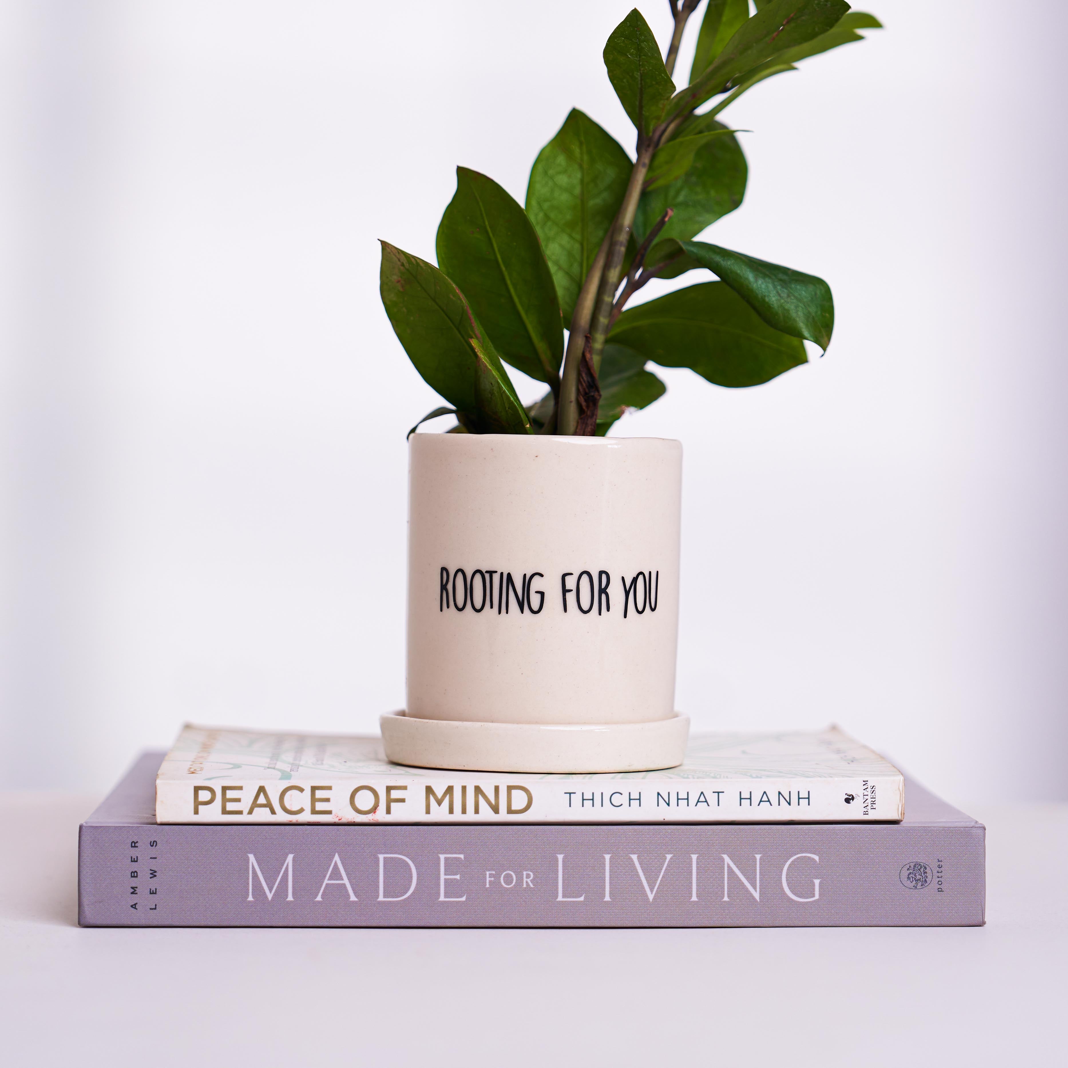 Best 10 Plant Gift Quotes To Inspire You